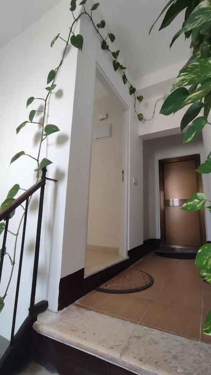 شقة Penthouse In The Center كاديز المظهر الخارجي الصورة